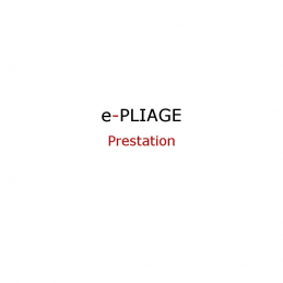 PRESTATION LAQUAGE RAL 3012...